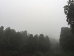 -狼牙山风景区