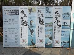 -东湖落雁景区