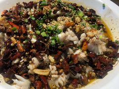 -三猫黑鱼花(南大店)