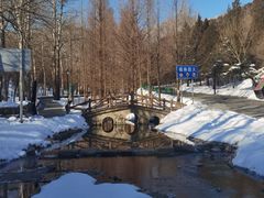 -白水寺森林公园