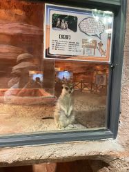 -酷嗒动物文化乐园(cutezoo西溪乐天城店)