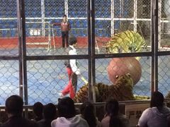 iphone_upload_pic-西安秦岭野生动物园