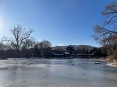 -亲贤打卤面(八一街店)