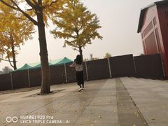 -大雁塔北广场音乐喷泉