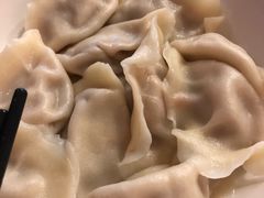 牛肉饺子-东方饺子王(和平里店)
