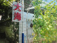 -大海别墅民宿农家院(十渡店)