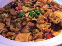 -老板恋上鱼(恒隆广场店)