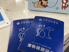 -申普宠物医院·心脏介入·心血管微创(总院)