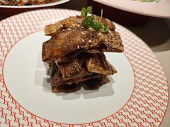 -圆苑(静安寺店)