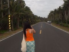 -东郊椰林