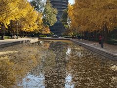 -玲珑塔公园
