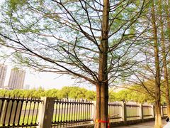 -同济大学(沪西校区)