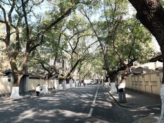 -颐和路民国时期公馆风貌区