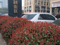 -停车场(陆家嘴金融街区)