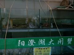 -喜洋洋蟹庄(阳澄湖店)