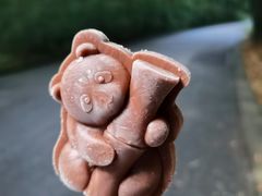 -成都大熊猫繁育研究基地