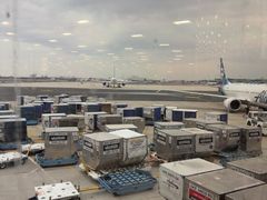 -纽瓦克自由国际机场