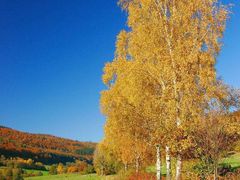 -星巴克(新都会店)