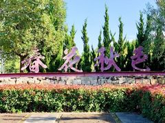 -春花秋色城市公园