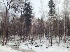 -长白山万达国际滑雪场