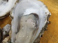 -蚝专家(北滘店)
