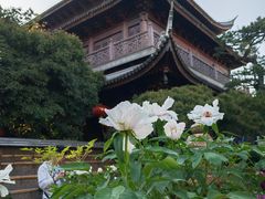 -龙华寺