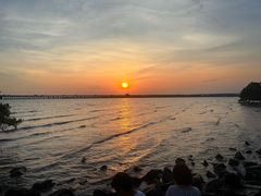 -宝安西湾红树林湿地公园