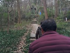 -上海佘山国家森林公园西佘山园