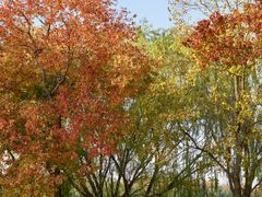 -云龙湖旅游景区