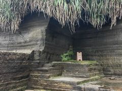 -贝壳沙滩
