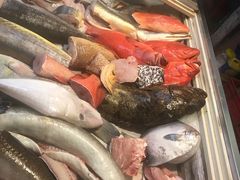 -金砂阿洲鱼册店