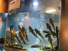 -老船舫·现做活鲜鱼馆(东郊记忆店)