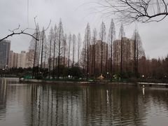 -黄兴公园