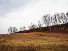 -塞罕坝国家级自然保护区