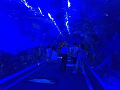 -成都浩海立方海洋公园