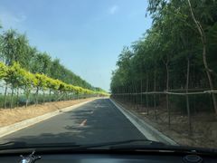 -东方华地城湿地温泉度假区