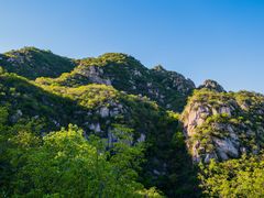 -大岭沟猕猴桃谷风景区