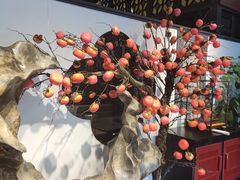 -福照楼汽锅鸡·云南菜(护国路店)