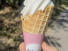 -风车面包