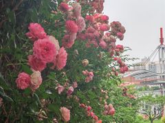 -太阳宫公园