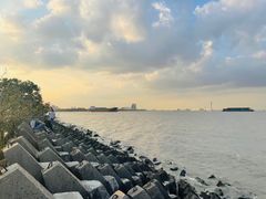 -上海滨江森林公园