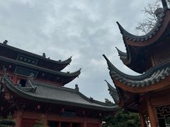 -上海东林寺(金山区)