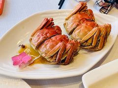 -新雅粤菜馆(南京东路店)