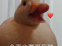 -陆记牛庄·碳锅龙虾烧烤(爱上花园店)