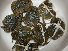-杨氏青龙虾·羊蝎子(托乐嘉店)
