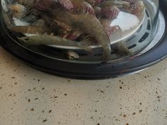 -港畔赶海蒸汽海鲜烧烤自助(仙螺岛店)