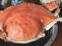 清蒸海捕梭蟹-老东镇啤酒屋海鲜加工·蒸汽海鲜·海鲜烧烤(台东店)