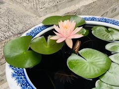 -西安市广仁寺
