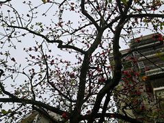 -黄埔古港
