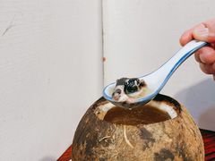 原只椰子炖竹丝鸡-達揚原味燉品(文明路店)